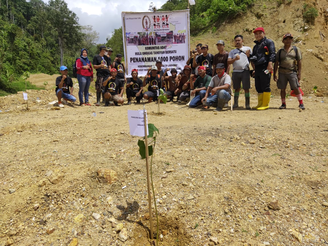 Komunitas adat hulu Ongkag Tanoyan bersatu, menggelar aksi penanaman 1.000 pohon di lokasi Potolo, Desa Tanoyan Selatan