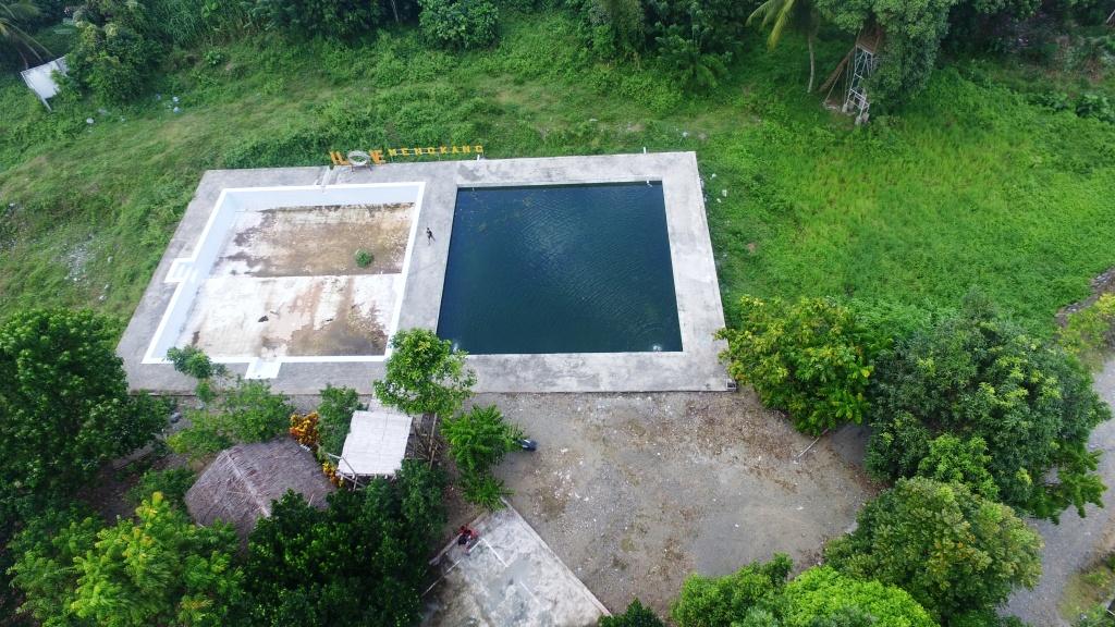 kolam ikan dan kolam pemandian desa mengkang