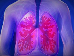 Rokok Bisa Picu Kanker Paru-paru, Ini Penjelasannya