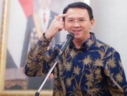 Kabar Reshuffle Kabinet Jokowi, Nama Ahok Disebut Berpeluang Jadi Menteri