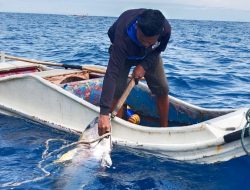 Kemelut Nelayan Penangkap Tuna di Bolsel Akibat Laut yang Berubah