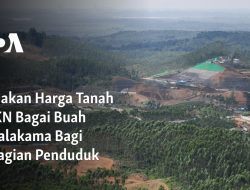 Lonjakan Harga Tanah di IKN Bagai Buah Simalakama