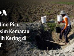 El Nino Picu Musim Kemarau Lebih Kering di NTT
