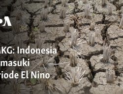Indonesia Memasuki Periode El Nino