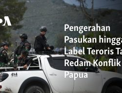 Pengerahan Pasukan hingga Label Teroris Tak Redam Konflik Papua