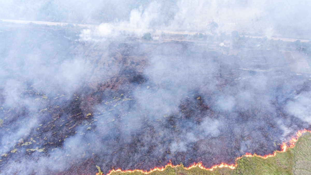 Indonesia Bantah Kabut Asap Akibat Kebakaran Hutan Sampai Ke Malaysia ...