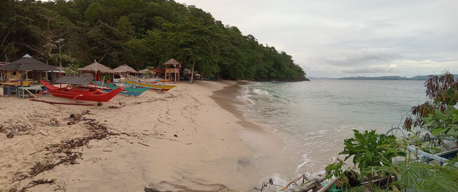 Zonautara