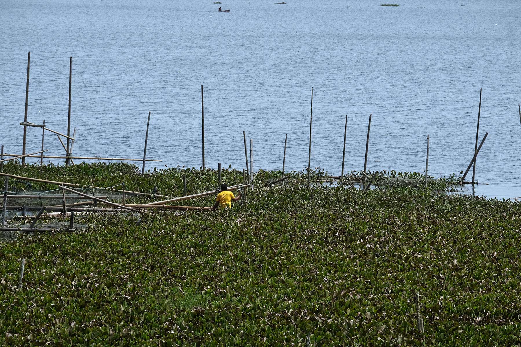 FOTO: Luapan air Danau Tondano masih rendam permukiman warga 8 danau tondano