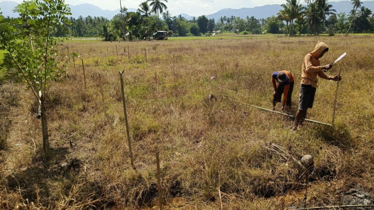 Menjaga tanah, menjaga hidup: Perempuan inspiratif dari Dumoga 9 alih fungsi lahan