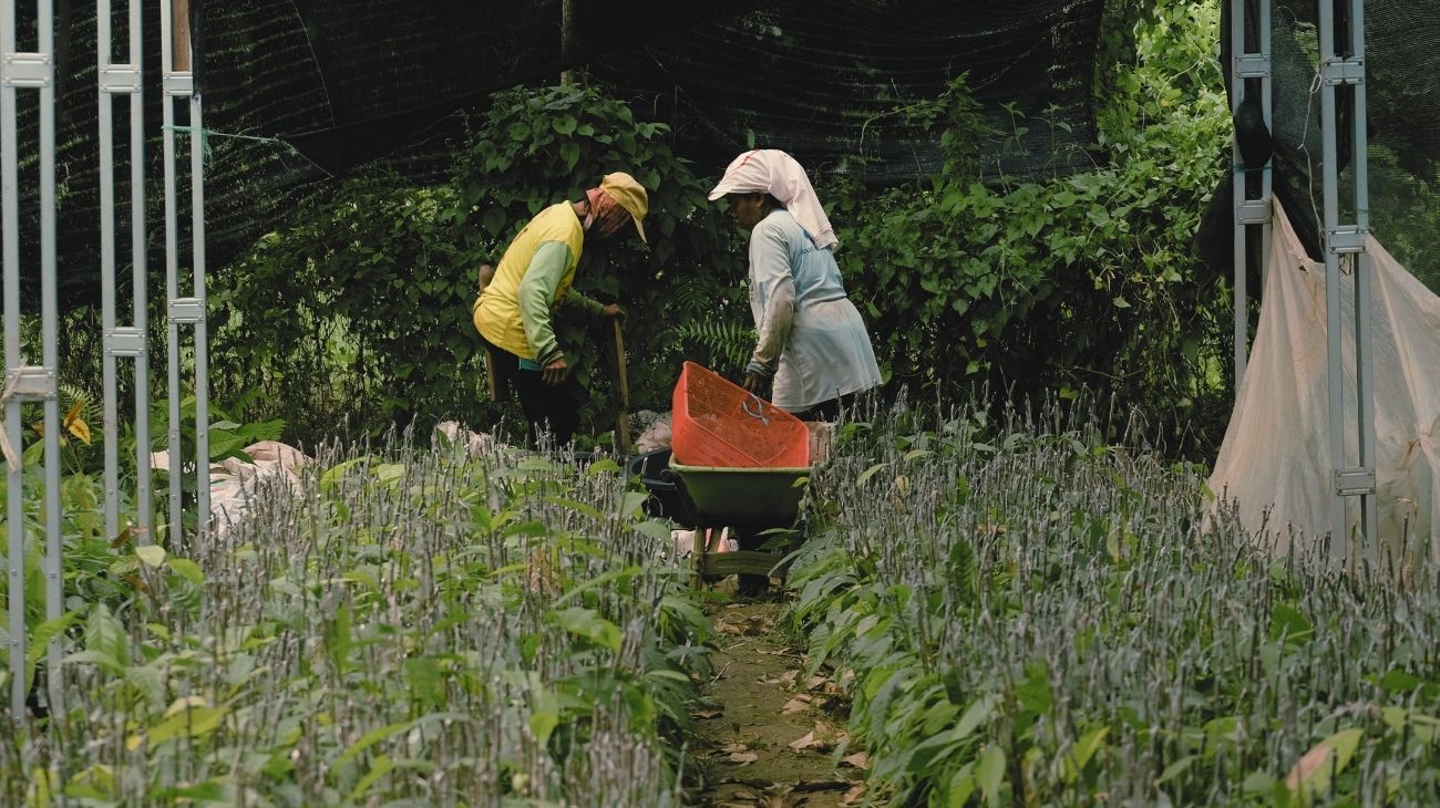 Menjaga tanah, menjaga hidup: Perempuan inspiratif dari Dumoga 8 alih fungsi lahan