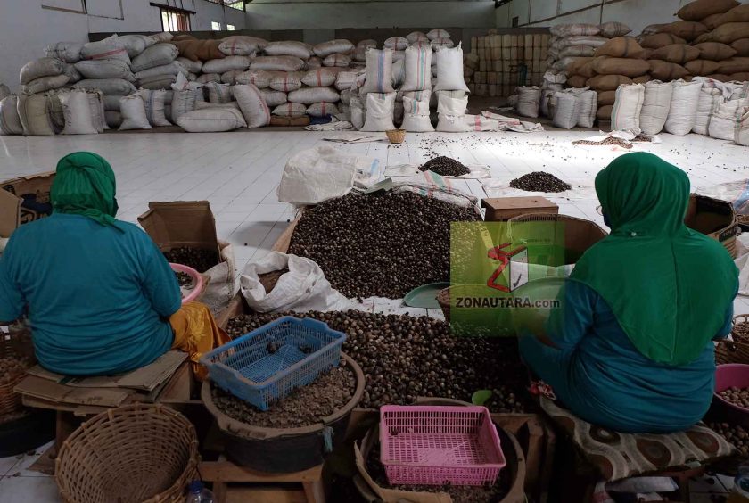 Hilirisasi perkebunan Sulut digenjot untuk sejahterakan petani 8 pala