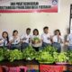 SMK Negeri 1 Siau Timur panen perdana sayuran Hidroponik, hasilnya langsung dipasarkan