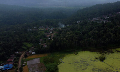 bulandu