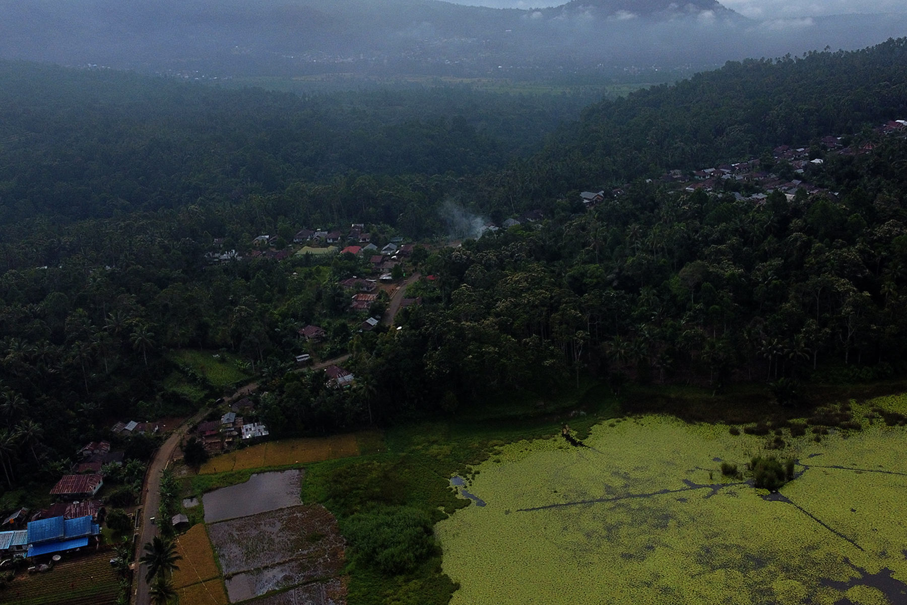 bulandu