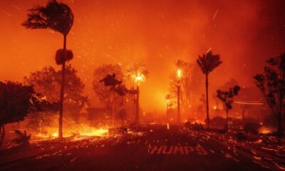los angeles