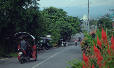 bentor