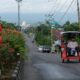 bentor