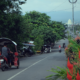 bentor