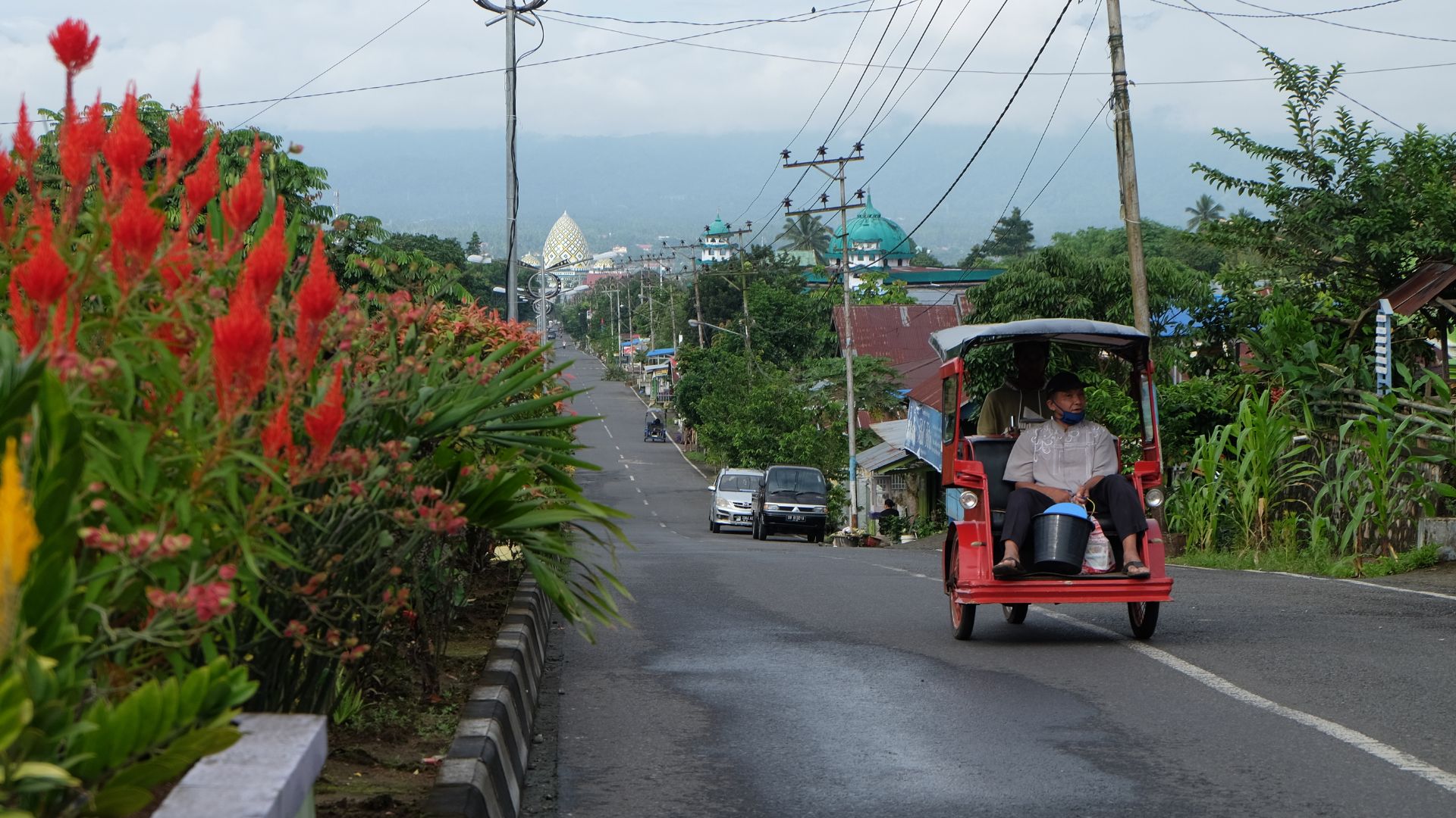 bentor