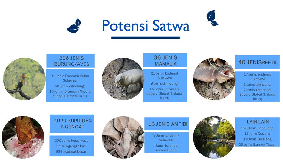 Satwa endemik yang asing di rumahnya 17 Satwa endemik yang asing di rumahnya