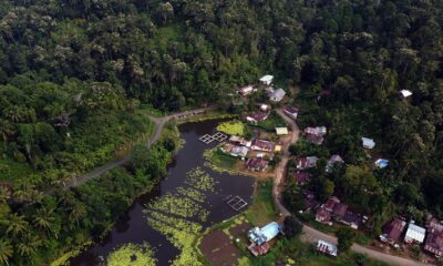 bilalang