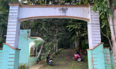 hutan kota