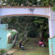 hutan kota