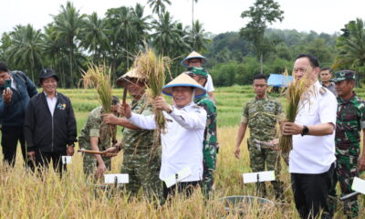 Victor Mailangkay pimpin panen raya di Tomohon, perkuat komitmen Sulut swasembada pangan nasional
