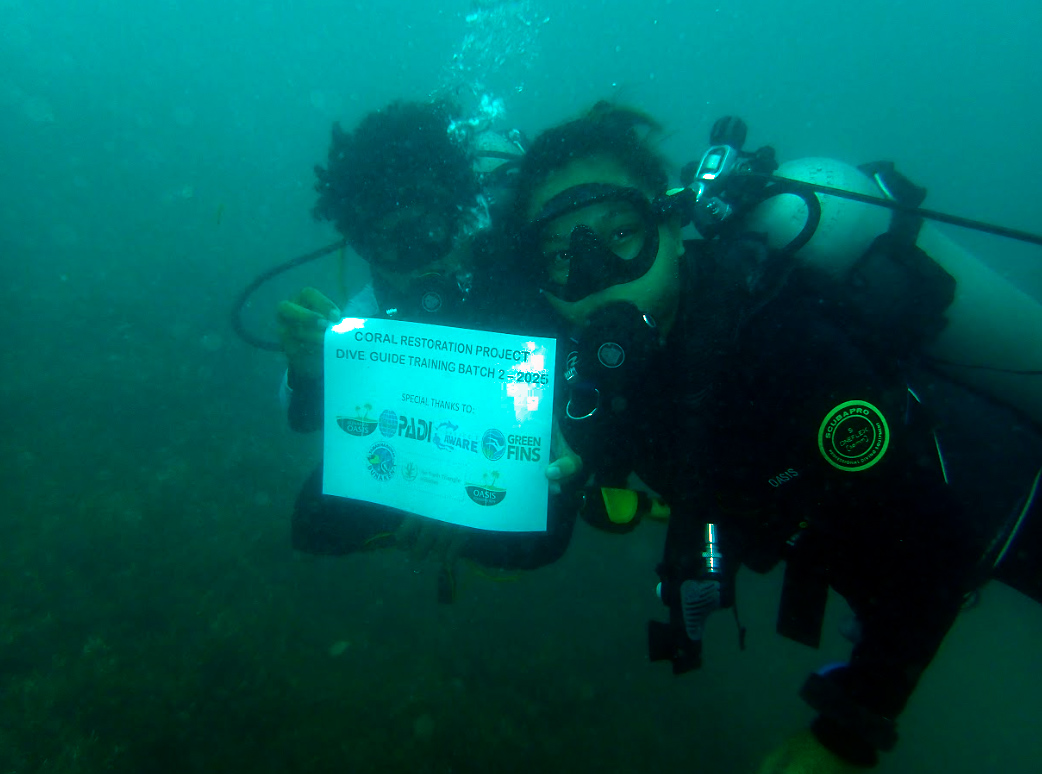 Atasi kerusakan akibat pengeboman ikan, NTTI dan Bunaken Oasis transplantasi 75 karang di Taman Nasional Bunaken 8 karang
