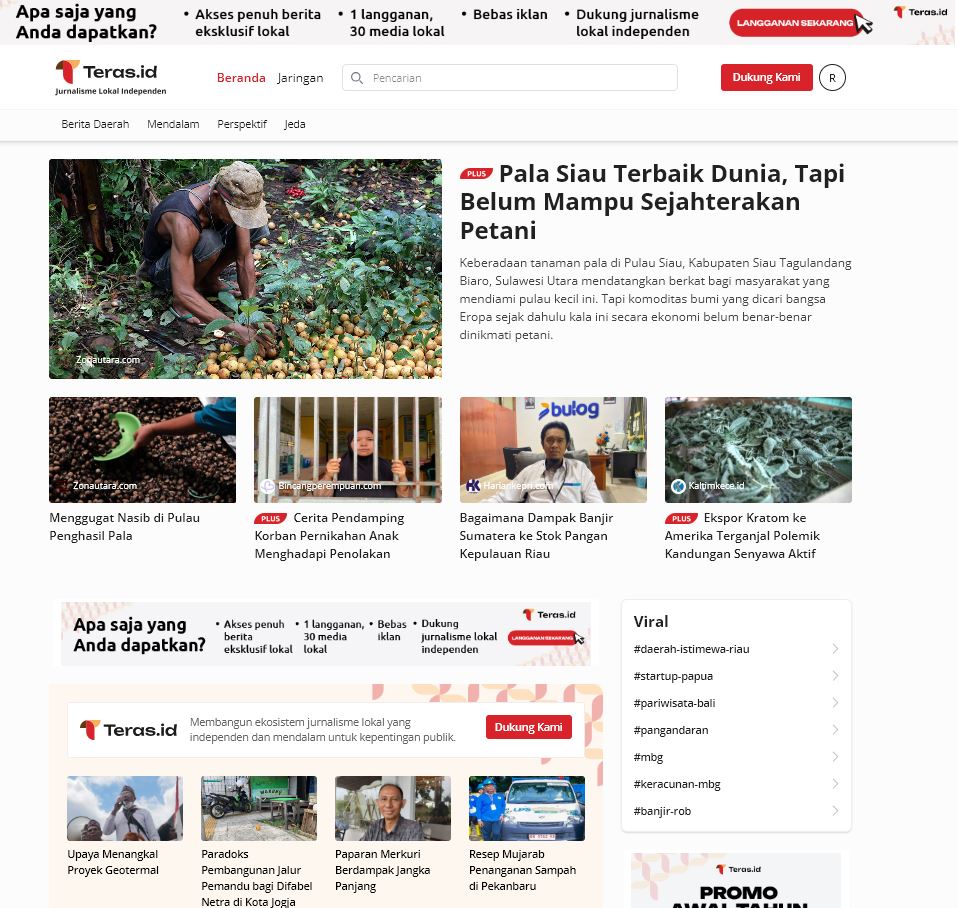 Menggugat nasib petani di balik wangi Pala Siau terbaik dunia 7 pala siar